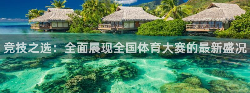 竞技之选：全面展现全国体育大赛的最新盛况