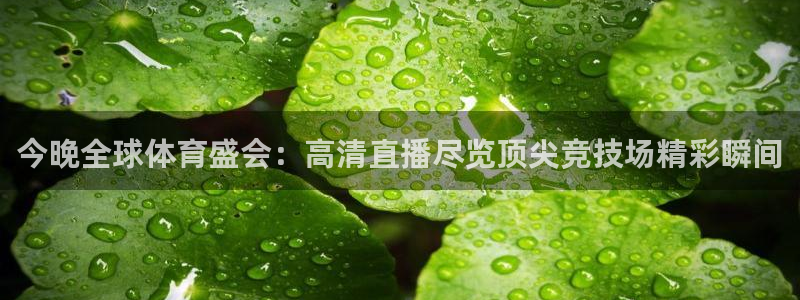 今晚全球体育盛会：高清直播尽览顶尖竞技场精彩瞬间