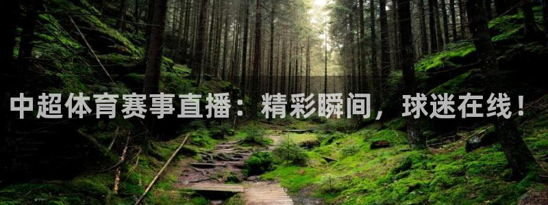 中超体育赛事直播：精彩瞬间，球迷在线！