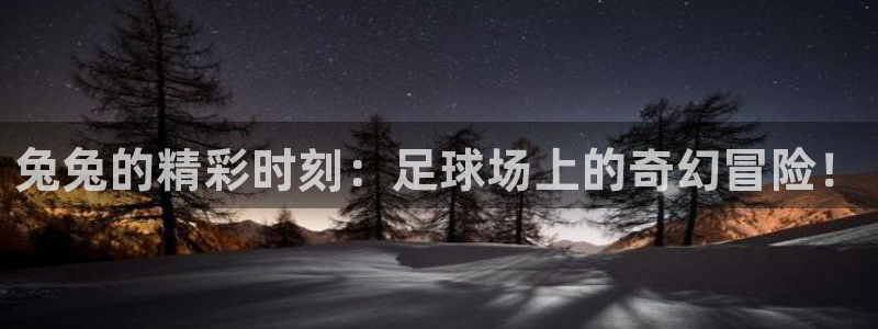 兔兔的精彩时刻：足球场上的奇幻冒险！