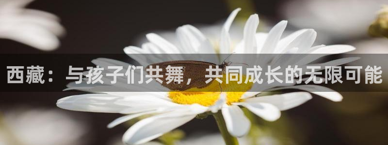 西藏：与孩子们共舞，共同成长的无限可能