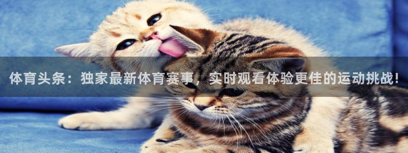 体育头条：独家最新体育赛事，实时观看体验更佳的运动挑战!