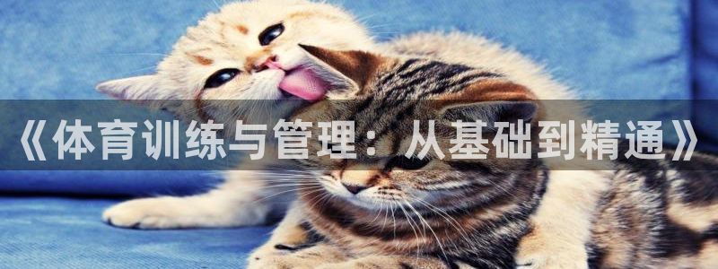 《体育训练与管理：从基础到精通》