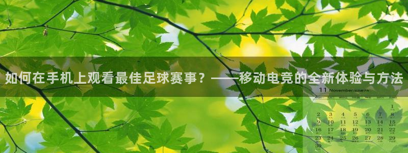 如何在手机上观看最佳足球赛事？——移动电竞的全新体验与方法
