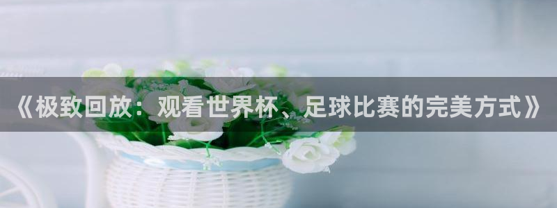 《极致回放：观看世界杯、足球比赛的完美方式》