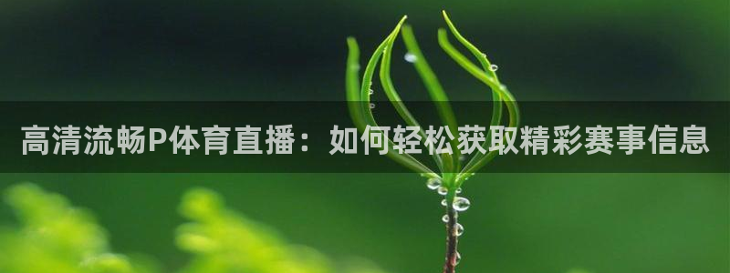 高清流畅P体育直播：如何轻松获取精彩赛事信息