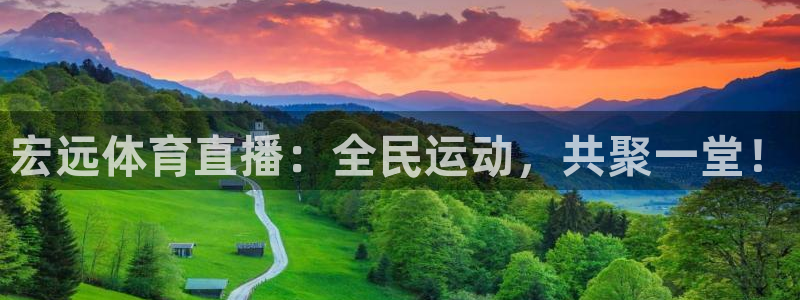 宏远体育直播：全民运动，共聚一堂！