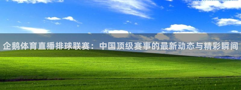 企鹅体育直播排球联赛：中国顶级赛事的最新动态与精彩瞬间
