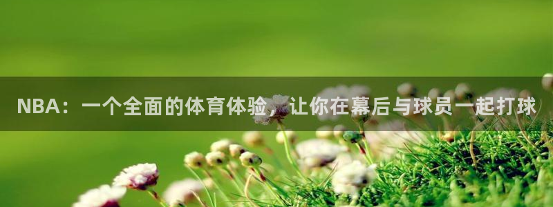 NBA：一个全面的体育体验，让你在幕后与球员一起打球