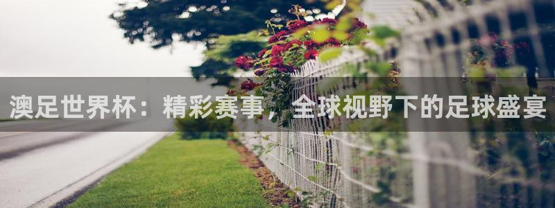 澳足世界杯：精彩赛事，全球视野下的足球盛宴
