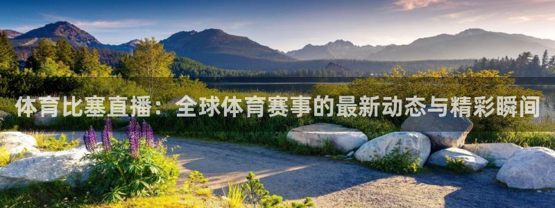 体育比塞直播：全球体育赛事的最新动态与精彩瞬间