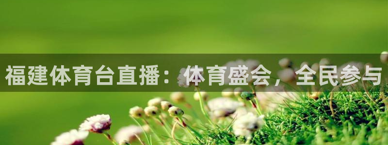 福建体育台直播：体育盛会，全民参与