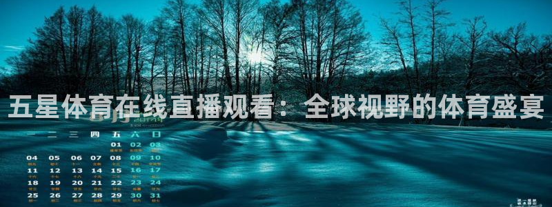 五星体育在线直播观看：全球视野的体育盛宴
