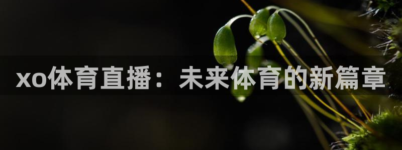 xo体育直播：未来体育的新篇章