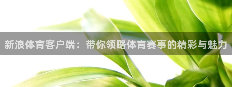 新浪体育客户端：带你领略体育赛事的精彩与魅力