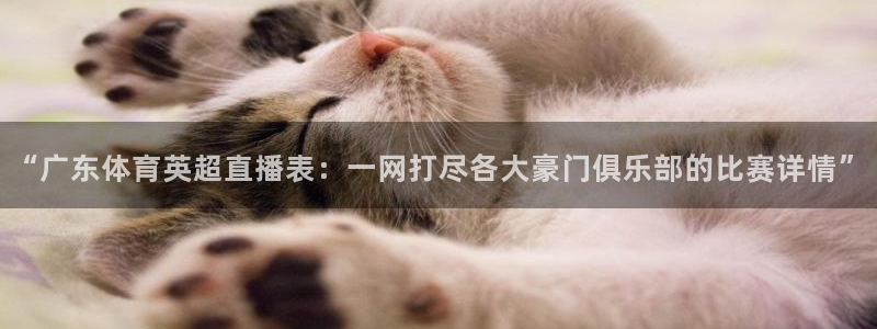 “广东体育英超直播表：一网打尽各大豪门俱乐部的比赛详情”