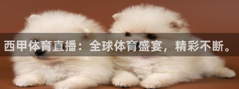 西甲体育直播：全球体育盛宴，精彩不断。