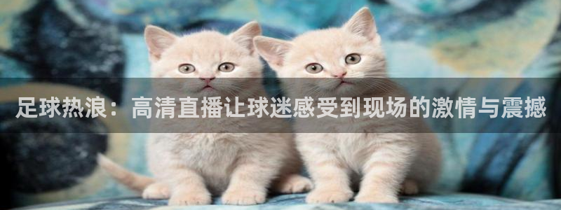 足球热浪：高清直播让球迷感受到现场的激情与震撼