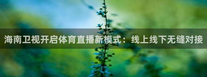 海南卫视开启体育直播新模式：线上线下无缝对接