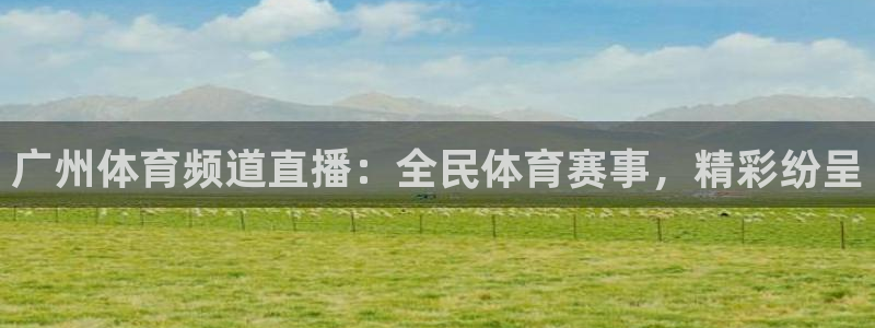广州体育频道直播：全民体育赛事，精彩纷呈