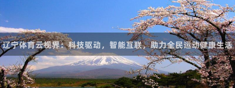 辽宁体育云视界：科技驱动，智能互联，助力全民运动健康生活