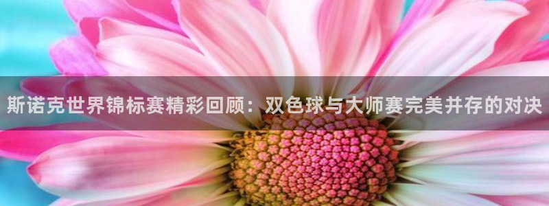 斯诺克世界锦标赛精彩回顾：双色球与大师赛完美并存的对决
