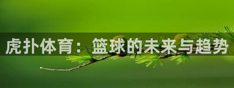 虎扑体育：篮球的未来与趋势