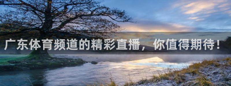 广东体育频道的精彩直播，你值得期待！
