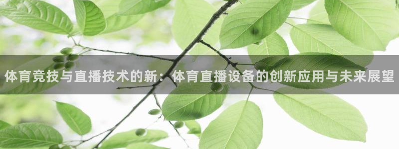 体育竞技与直播技术的新：体育直播设备的创新应用与未来展望