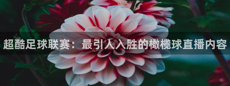 超酷足球联赛：最引人入胜的橄榄球直播内容