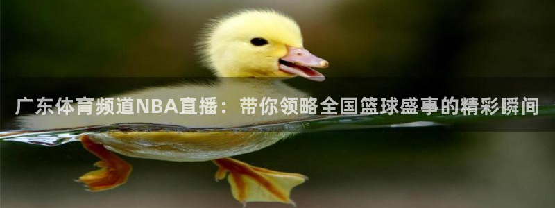 广东体育频道NBA直播：带你领略全国篮球盛事的精彩瞬间