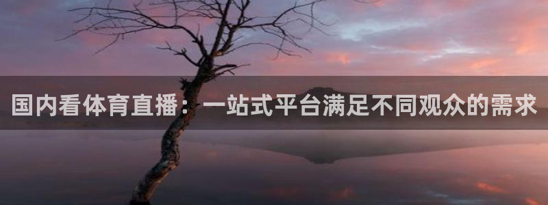 国内看体育直播：一站式平台满足不同观众的需求