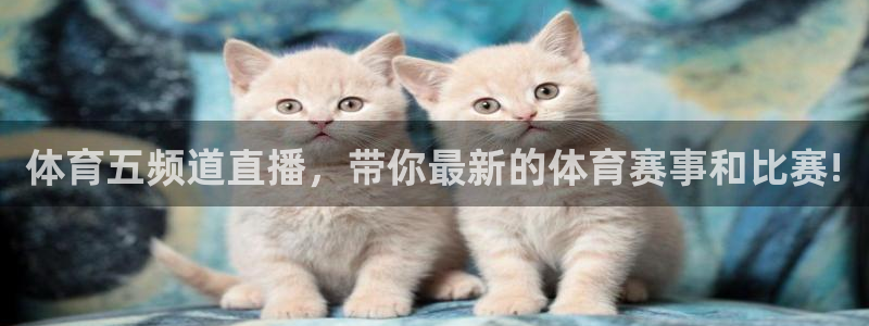 体育五频道直播，带你最新的体育赛事和比赛!