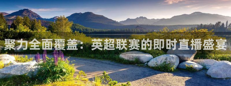 聚力全面覆盖：英超联赛的即时直播盛宴