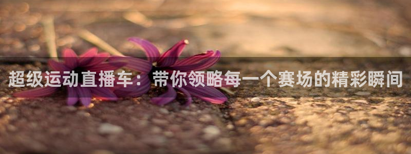 超级运动直播车：带你领略每一个赛场的精彩瞬间