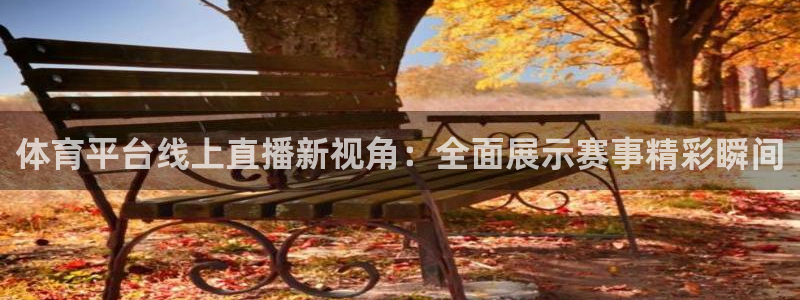 体育平台线上直播新视角：全面展示赛事精彩瞬间