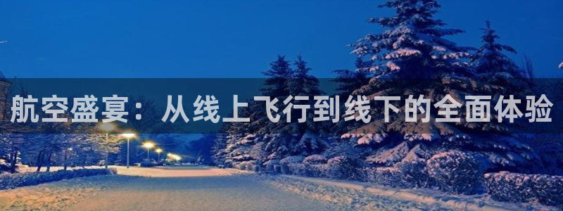 航空盛宴：从线上飞行到线下的全面体验