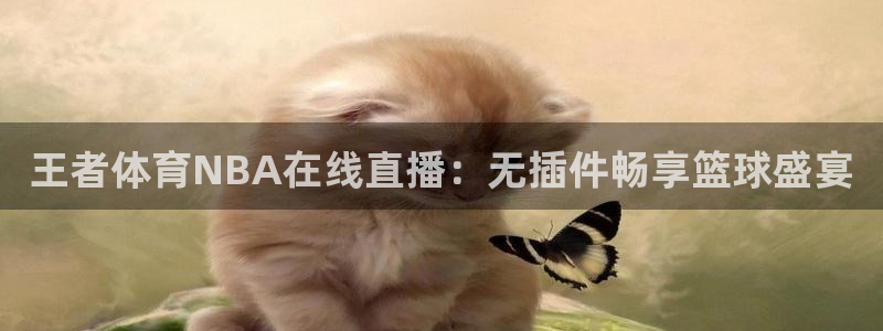 王者体育NBA在线直播：无插件畅享篮球盛宴