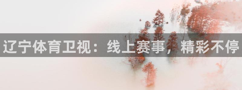 辽宁体育卫视：线上赛事，精彩不停
