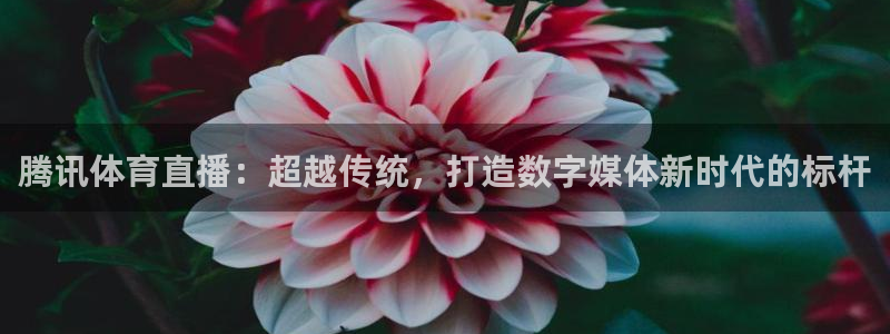 腾讯体育直播：超越传统，打造数字媒体新时代的标杆