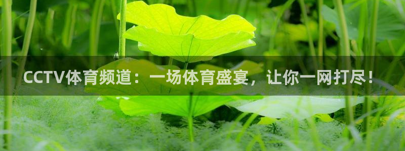 CCTV体育频道：一场体育盛宴，让你一网打尽！