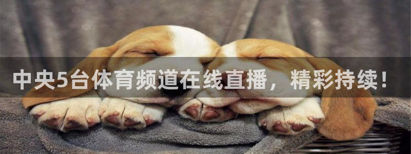 中央5台体育频道在线直播，精彩持续！