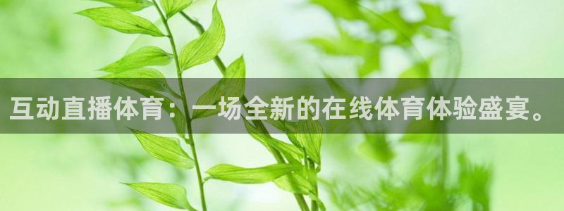 互动直播体育：一场全新的在线体育体验盛宴。
