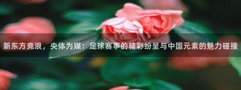 新东方竞浪，央体为媒：足球赛事的精彩纷呈与中国元素的魅力碰撞